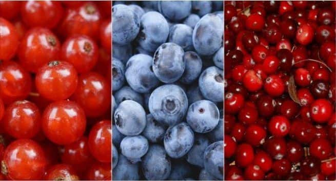 Blueberries and cranberries