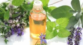 Use borage seed oil to fight off cancer and even the common cold