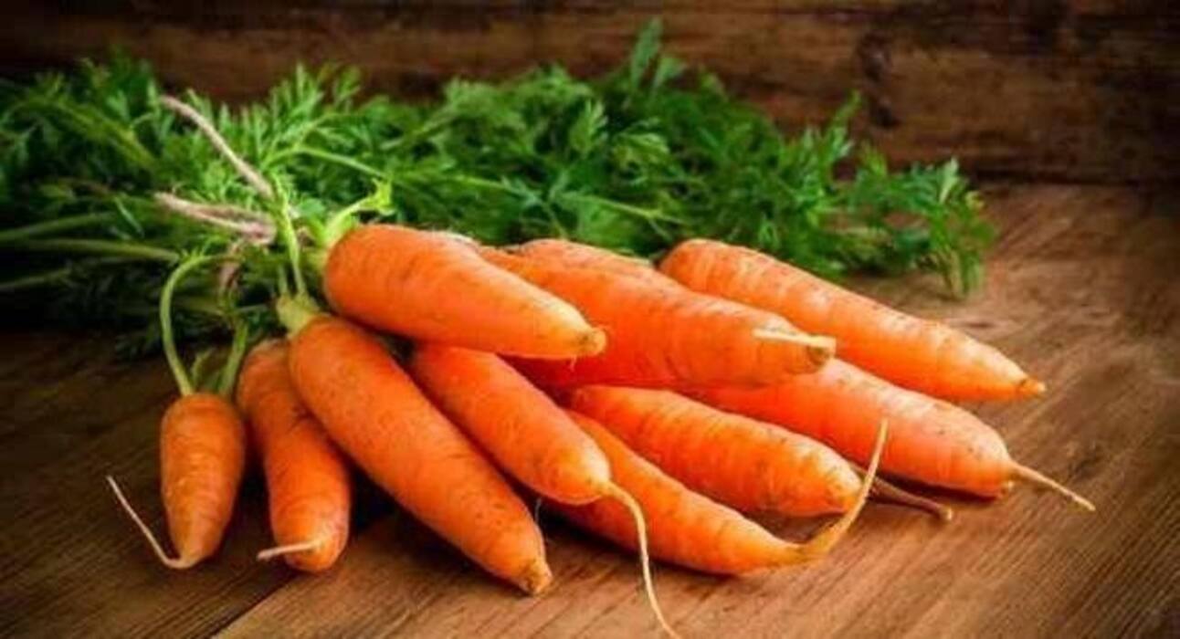Dengue fever: These fruits can help you boost your blood platelet count