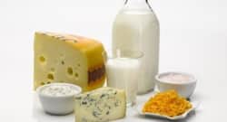 Weight loss diet: Should you ditch dairy products to shed those extra kilos?