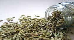 Looking for your weight loss friend? Opt for fennel seeds