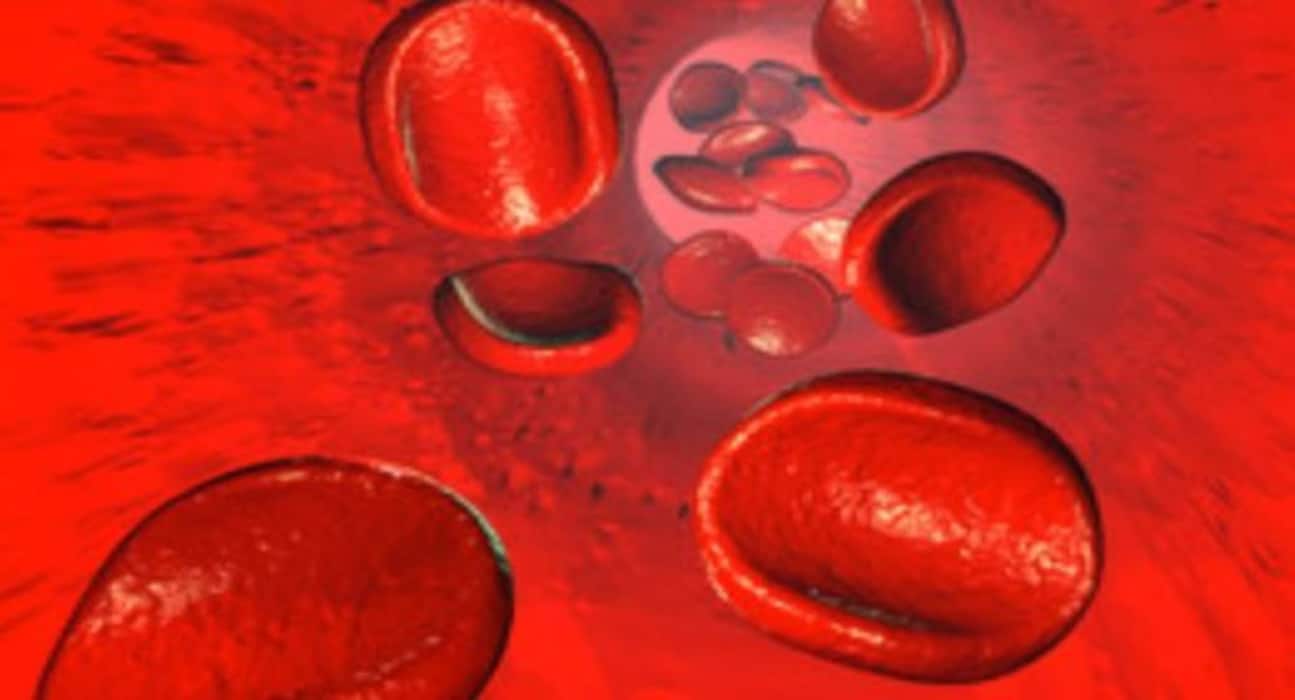 World Blood Cancer: क्‍या होता है ब्लड कैंसर? जानिए इसके शुरुआती 6 लक्षण और बचाव के उपाय