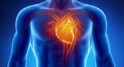 Pericardial Fat Raises Risk Of Heart Failure: How To Avoid Fat Deposition Around The Heart