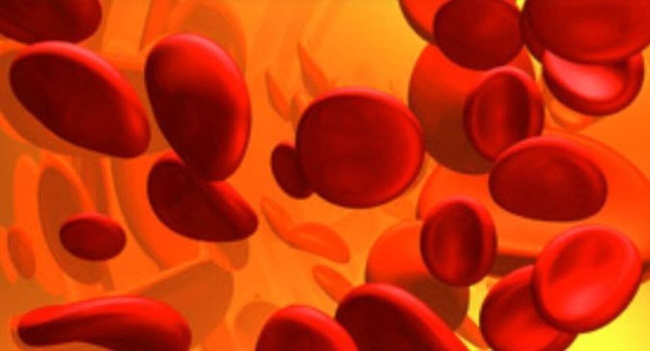 World Blood Cancer: क्‍या होता है ब्लड कैंसर? जानिए इसके शुरुआती 6 लक्षण और बचाव के उपाय