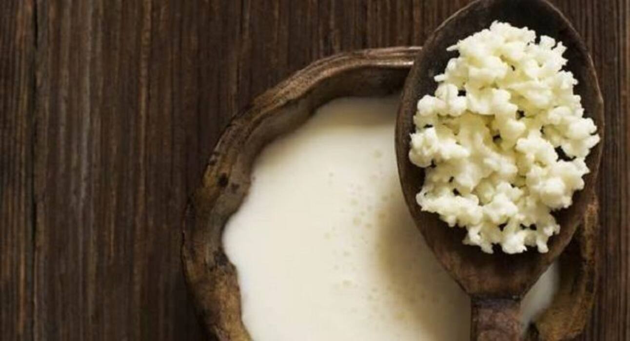5 gut bacteria boosting foods to tackle malnutrition