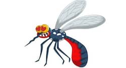 Malaria: और भी ज्‍यादा स्‍ट्रॉन्‍ग हो गया है मलेरिया का मच्‍छर