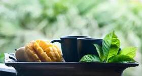 Mango leaves tea : जानें आम की पत्तियों की चाय के सेहत लाभ