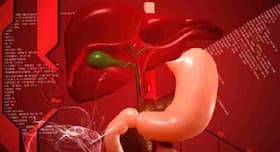 New therapy promises hope for alcoholic liver disease patients New therapy promises hope for alcoholic liver disease patients