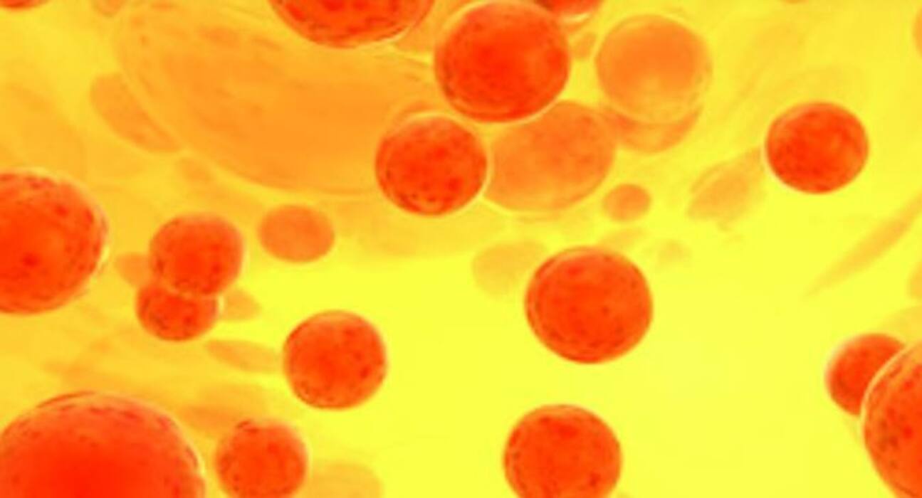 World Blood Cancer: क्‍या होता है ब्लड कैंसर? जानिए इसके शुरुआती 6 लक्षण और बचाव के उपाय