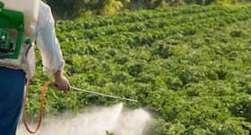 Pesticide exposure associated with teen depression
