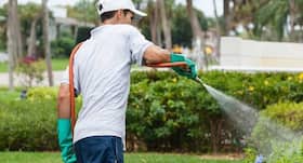 Beware! Exposure to Common Pesticides Can Increase Risk of COVID-19 Infection