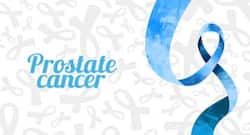 Prostate cancer diet : प्रोस्‍टेट कैंसर में न करें इन चीजों का सेवन