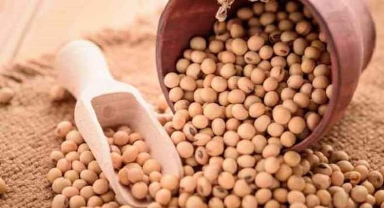 Avoid these foods if your estrogen level is high