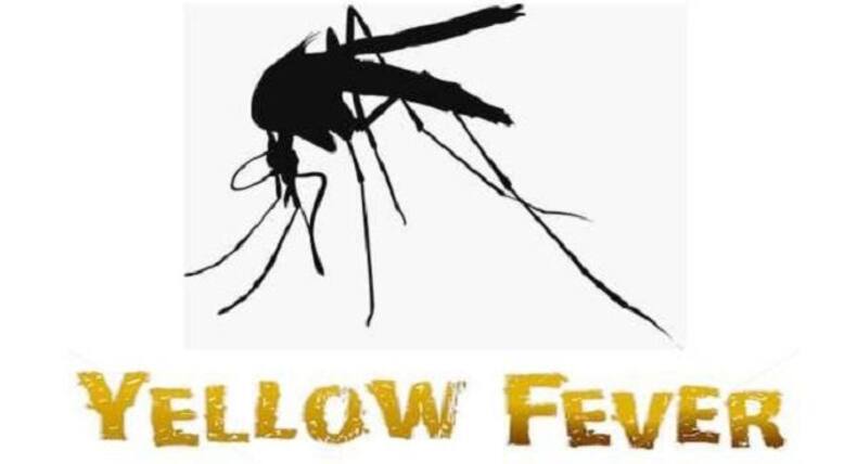 5 major mosquito-borne diseases that can be life-threatening