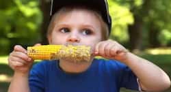 भुट्टा खाइए और सेहत को दीजिए ये खास फायदे