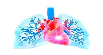 Some young vaccine recipients including teens develop myocarditis in US