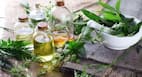 Herbal medicines : जख्‍म भरने में कारगर है आदिवासियों की जड़ी बूटियां