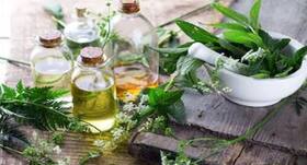 Herbal medicines : जख्‍म भरने में कारगर है आदिवासियों की जड़ी बूटियां