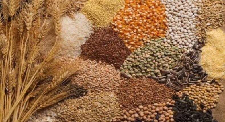 Weight loss Diet : रसोई में मौजूद ये 9 फूड्स वजन कम करने के आते हैं काम