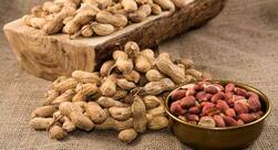 Peanut allergy: These tests can confirm your condition