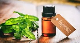 Use peppermint oil to get relief from pains, allergies and more