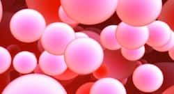 World Blood Cancer: ऐसे दिखते हैं ब्लड कैंसर के शुरुआती लक्षण