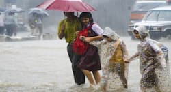 Waterborne Diseases : एंटी-बायोटिक दवाओं की जगह यूं बचाएं खुद को पानी से फैलने वाली संक्रामक बीमारियों से