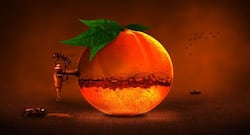 विटामिन के लिए कौन-कौन से फल और सब्जियां रोजाना खाना चाहिए