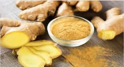 Ginger Side Effects : जानें, किन शारीरिक समस्याओं में नहीं खाना चाहिए अदरक