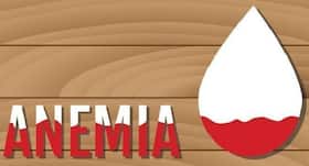Anaemia may contribute to the spread of dengue : Study