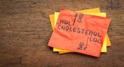 Weight loss: Easy ways to reduce your cholesterol levels