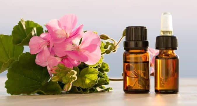 Geranium Oil: Here's Why This Essential Oil Is A Must-Have For