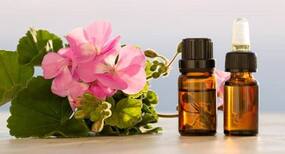 11 ways geranium oil helps you live better