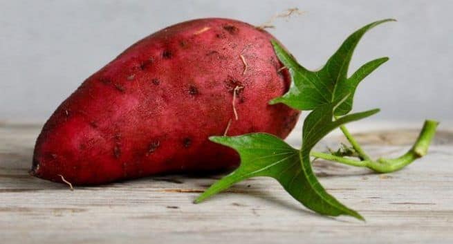 Sweet potato best sources of vitamin a in hindi