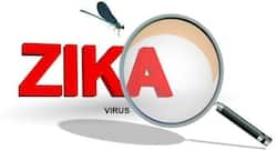 Adopt these methods and prevent Zika virus