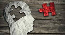 High-fat diet guards fetus from Alzheimer's disease: Study