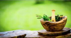 Ayurvedic Plants Benefits : आयुर्वेद के चमत्कारिक पेड़-पौधे, जो शारीरिक समस्याओं को जड़ से करते हैं दूर