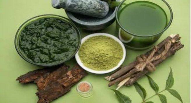 ayurvedic plants health benefits
