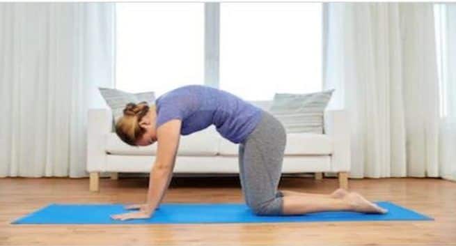 cat stretch for reducing cancer risk in hindi