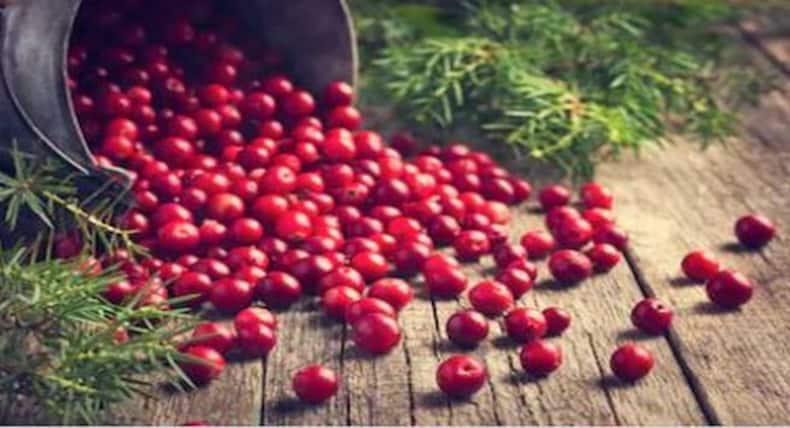 5 red foods that should be on your plate