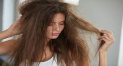 Dry Hair Care : रूखे बालों की देखभाल के उपाय