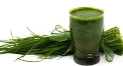 Your flat belly solution: Have a glass of giloy juice every day