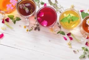 Herbal Tea : ये 4 हर्बल टी सेहत को पहुंचाते हैं कई तरह से लाभ, जरूर पिएं