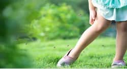 World Mosquito Day 2021 in Hindi: मच्छर नहीं काटेंगे जब अपनाएंगे ये उपाय