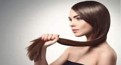 Hair Care Tips : बालों को लॉन्ग एंड स्ट्रॉन्ग बनाएंगे ये न्यूट्रिएंट्स, डायट में जरूर करें शामिल