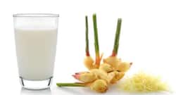 Ginger Milk Benefits : अदरक वाला दूध पीने से सेहत को होते हैं कई लाभ