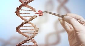Protein that causes muscle weakness identified: Know the reasons behind this condition