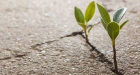 Follow these 4 ways to be optimistic and healthy