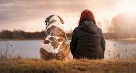 Sleep and other health benefits of having a dog at home