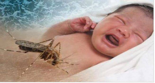 remedies to cure mosquito bites in baby